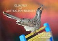 Glimpses of Australian birdlife / Peter Slater and Sally Elmer with Raoul Slater.