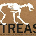 Treasures of the natural world / Museums Victoria in partnership with Natural History Museum ; foreword by Lynley Crosswell.