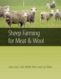 Sheep Farming for Meat and Wool.