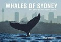 Whales of Sydney / Jonas Liebschner.