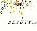 Regarding beauty : a view of the late twentieth century / Neal Benezra, Olga M. Viso ; with an essay by Arthur C. Danto.